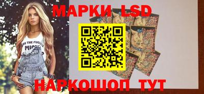 мяу мяу мука Бузулук