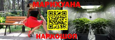 индика Будённовск
